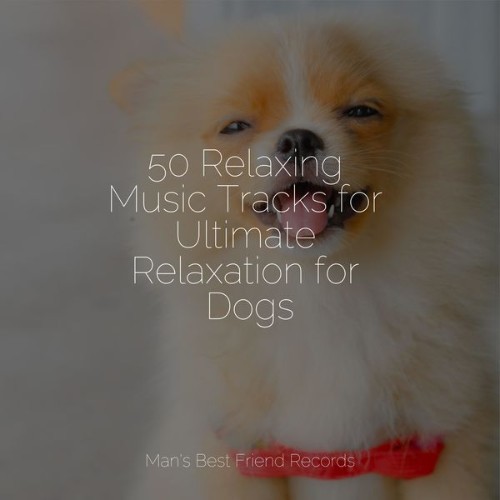 Jazz Music Therapy for Dogs - 50 Relaxing Music Tracks for Ultimate Relaxation for Dogs - 2022