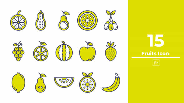 Fruits Icon Premiere Pro - VideoHive 50434135