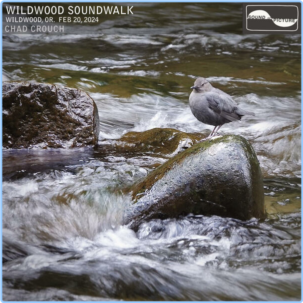 Chad Crouch Wildwood Soundwalk (2024) 24Bit 96kHz [FLAC] V3EabeCI_o