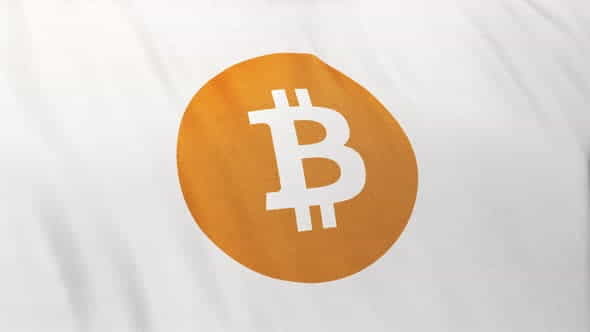 BTC Bitcoin Icon Logo on - VideoHive 33547063