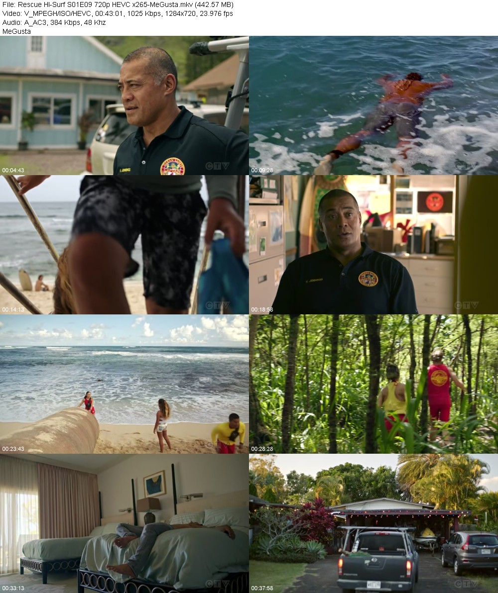 Rescue HI-Surf S01E09 720p HEVC x265-MeGusta