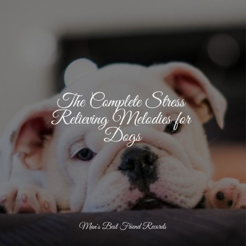 Calming Music for Dogs - The Complete Stress Relieving Melodies for Dogs - 2022