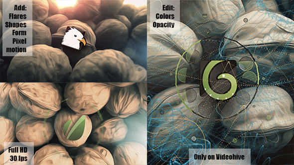 Stop Motion Nuts - VideoHive 6546964