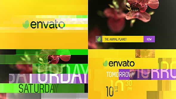 Elegant broadcast package - VideoHive 5658534