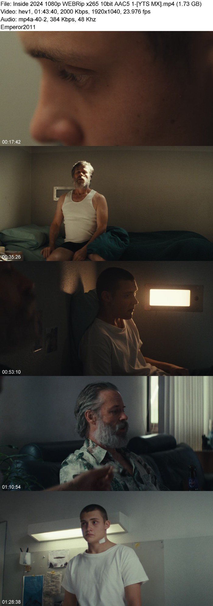 WzbPaOlF_o.jpg