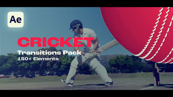 Cricket Transitions - VideoHive 58344945