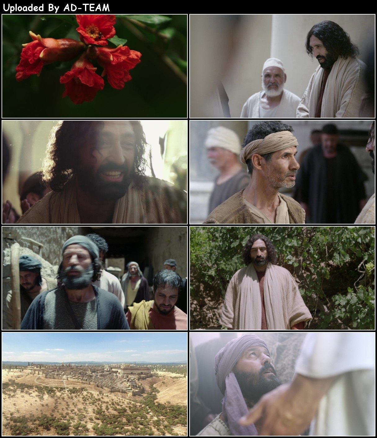 The Gospel of John (2003) 1080p WEBRip x264-RARBG NKaeZ3mu_o