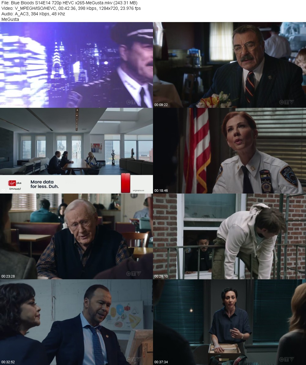 Blue Bloods S14E14 720p HEVC x265-MeGusta