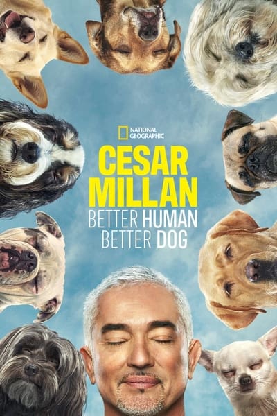 Cesar Millan Better Human Better Dog S01E01 720p HEVC x265-MeGusta