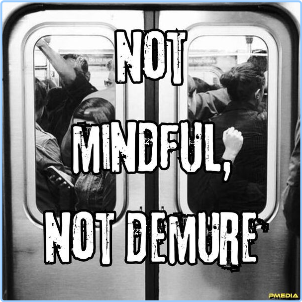 Various Artists - Not Mindful Not Demure (2024) [320 Kbps] YonysuTh_o