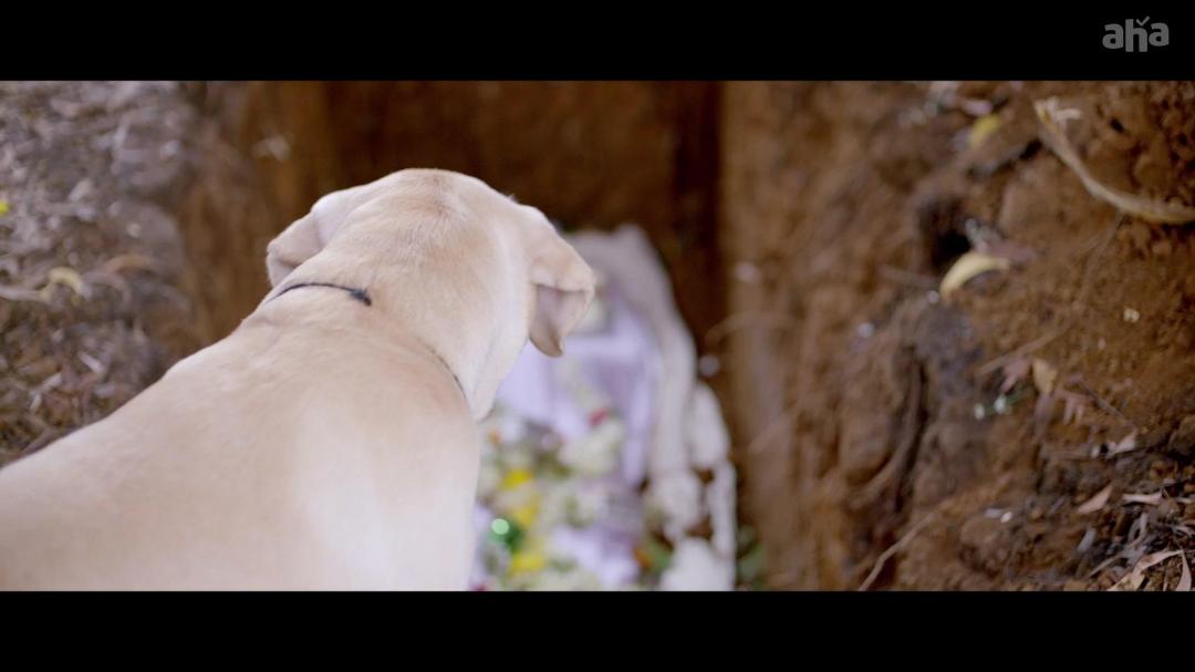 Nenu Naa Nestham (2020) Telugu (Org Vers) 1080p WEB-DL AVC AAC ESub-BWT Nenu Naa Nestham (2020) Telugu (Org Vers) 1080p WEB-DL AVC AAC ESub-BWT