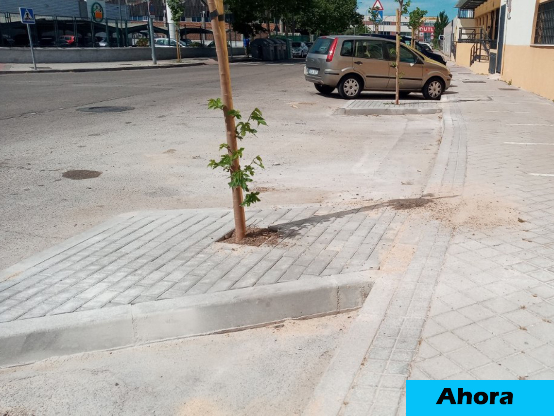 Foto cedida por Ayuntamiento de Torrejón