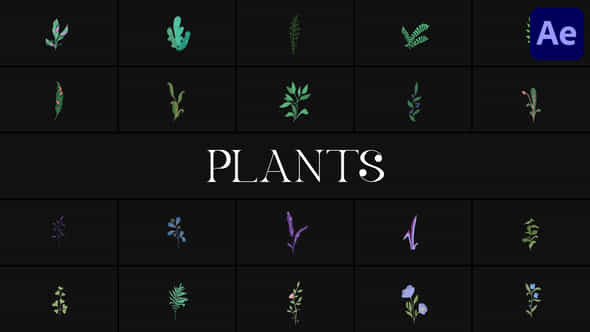 Plants For After Effects - VideoHive 51581124