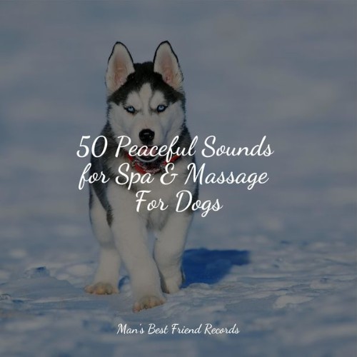 Jazz Music for Dogs - 50 Peaceful Sounds for Spa & Massage For Dogs - 2022