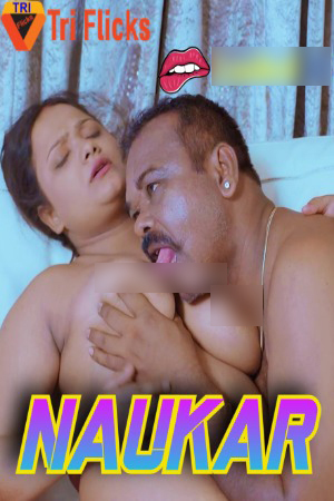 Naukar 2024 Hindi Triflicks Short Films 720p HDRip Download