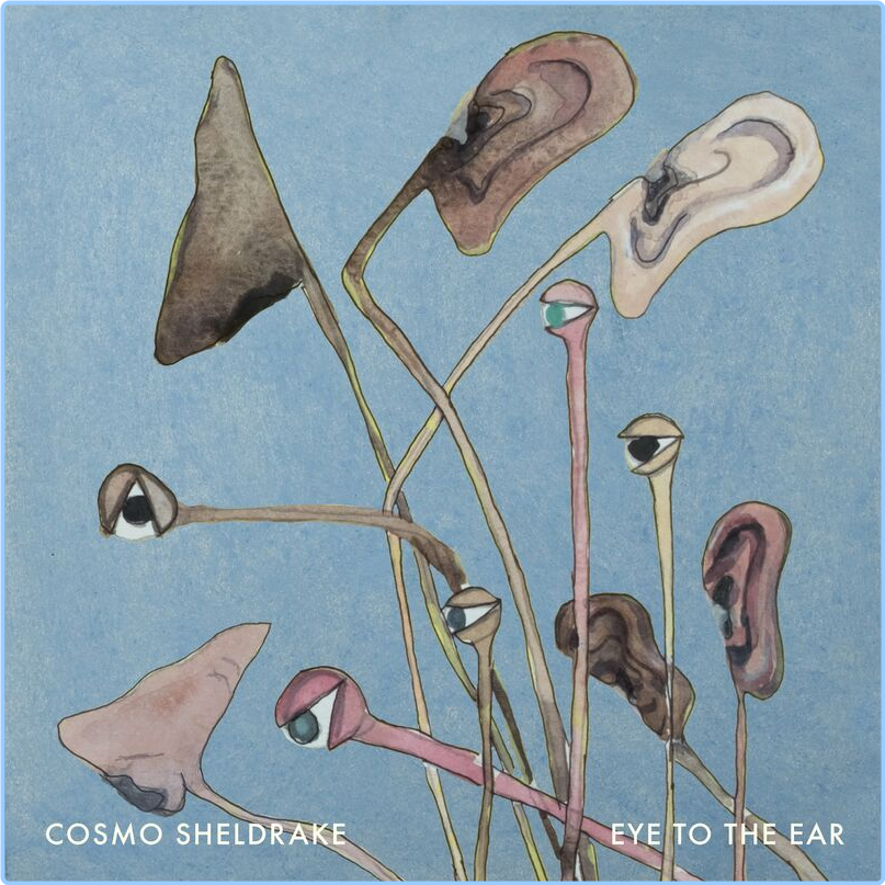 Cosmo Sheldrake Eye To The Ear (2024) [320 Kbps] Qhf2ZmT8_o