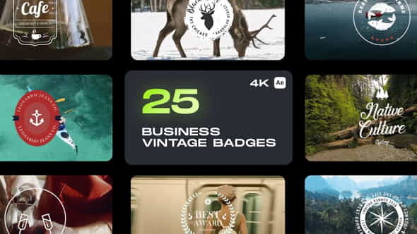 Business Vintage Badges - VideoHive 32970382