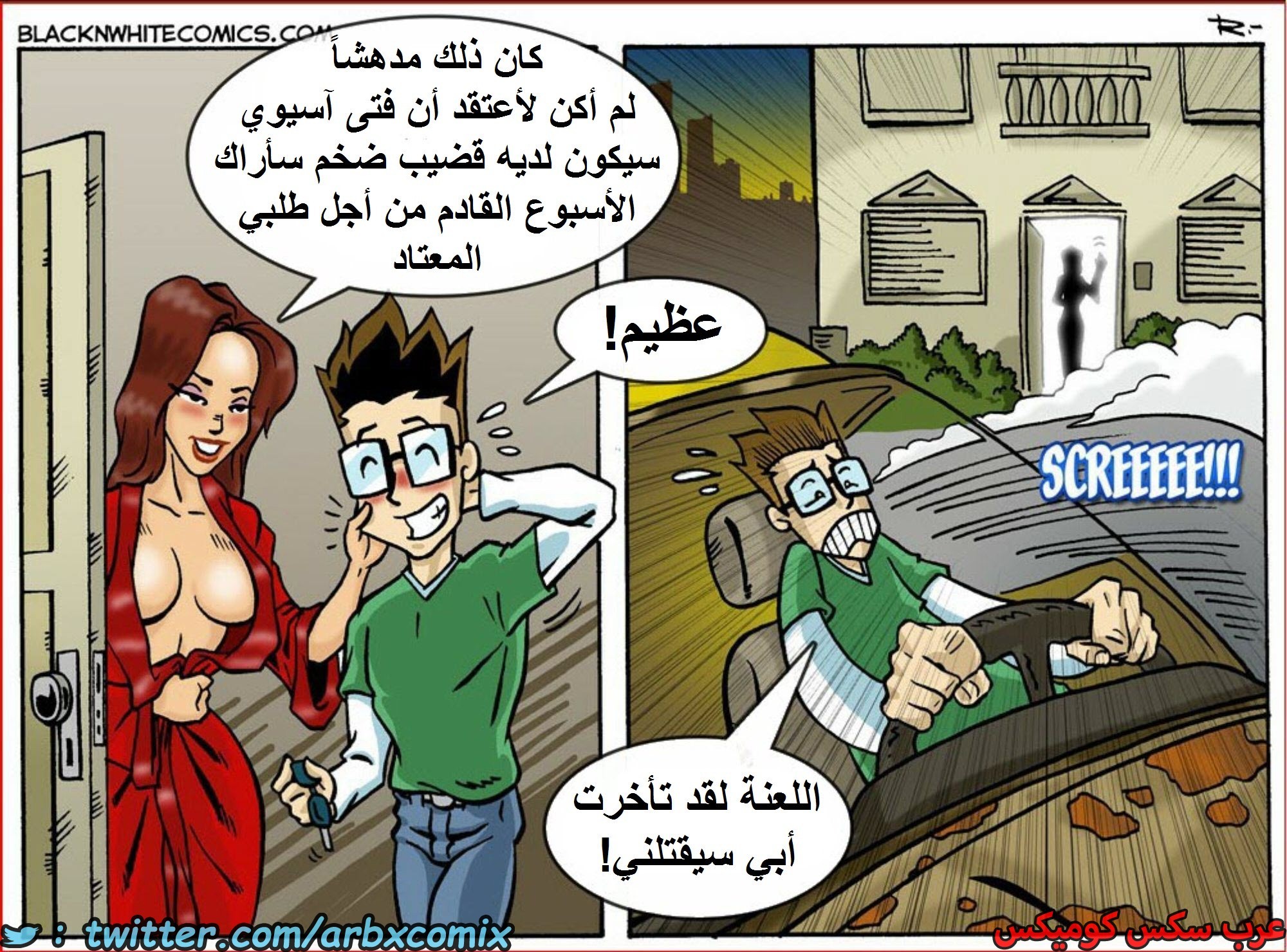 1599 أرز مقلي بالجمبري الجزء 1