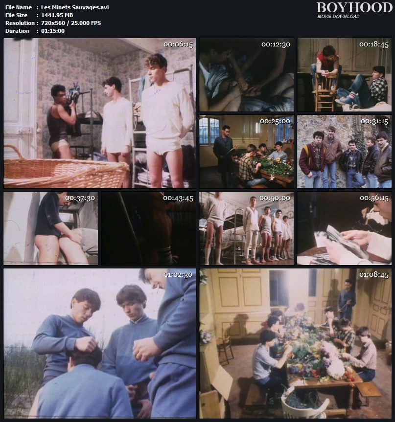 807px x 863px - Les minets sauvages 1984 - Boyhood movies download