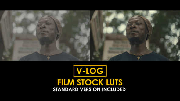 Vlog Film Stock And Standard Color Luts - VideoHive 51443704