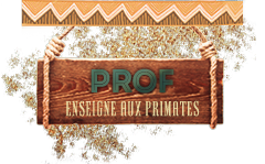 Professeur Professeur
