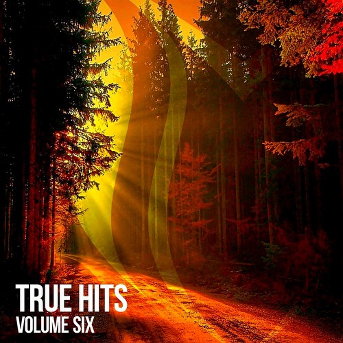 VA - True Hits Vol 6 (2021)