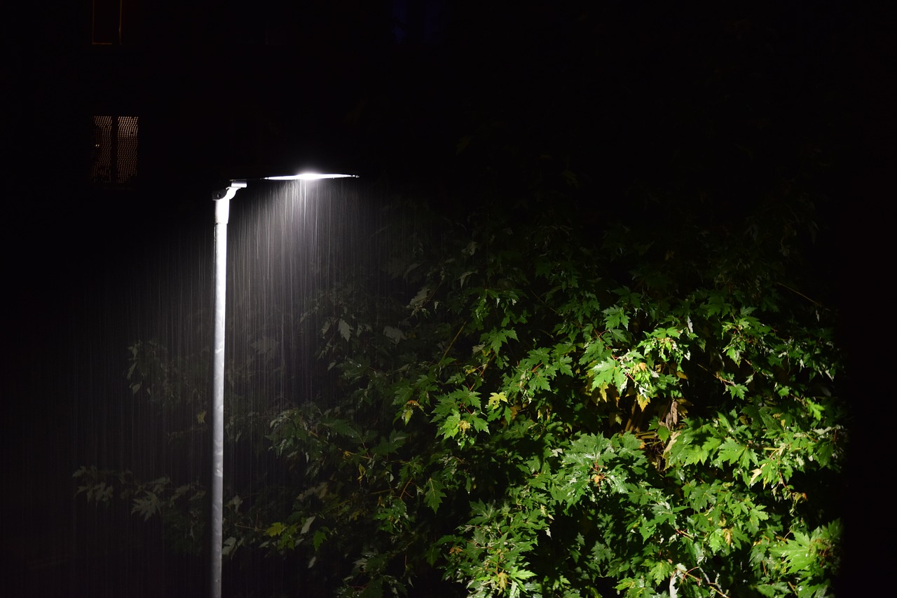 Street lamp illuminates tree in rain at night