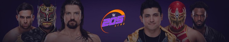 WWE 205 Live 2019 11 01 720p WEB x264-LEViTATE