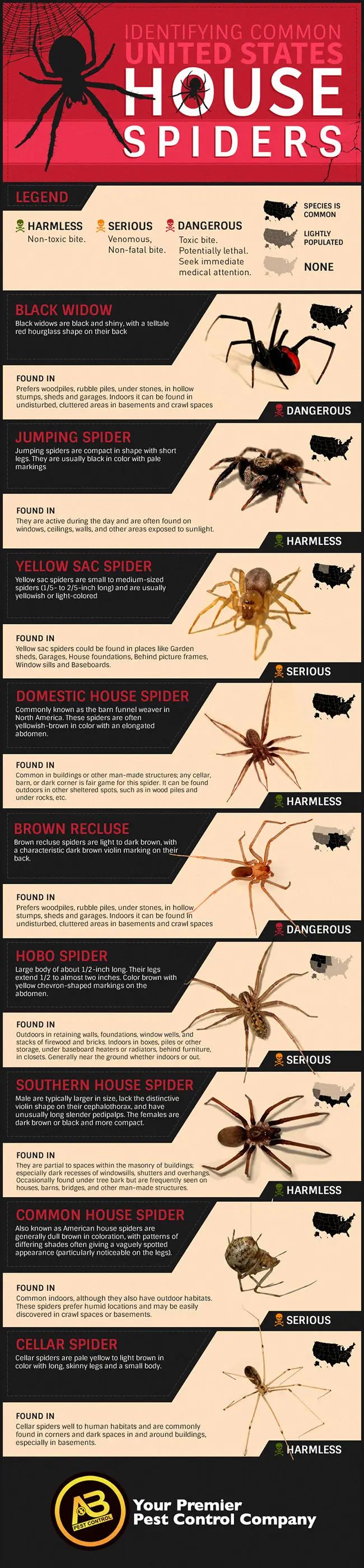 GOT YOUR SPIDER LIST ? Oola8BNQ_o