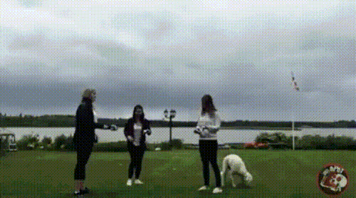 THEY JUST WANT TO HAVE FUN-GIRL GIFS EAtO8lwR_o