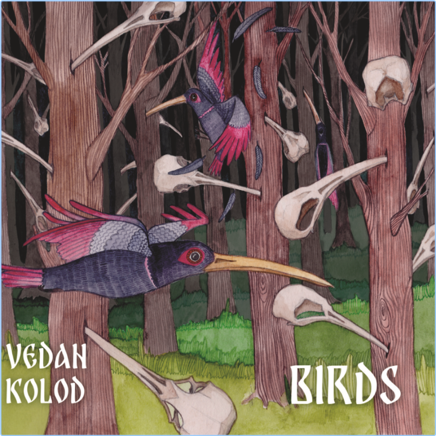 ♫ Vedan Kolod Birds (2024) WEB [FLAC] 16BITS 44 1KHZ HbtsdaZv_o