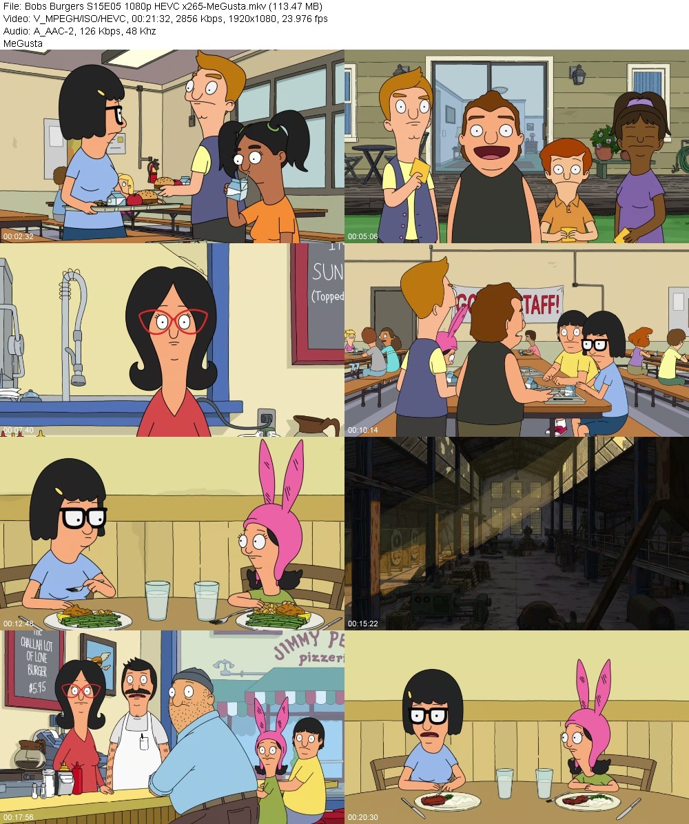 Bobs Burgers S15E05 1080p HEVC x265-MeGusta