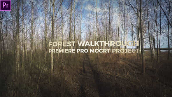 Forest Walkthrough - VideoHive 23997969