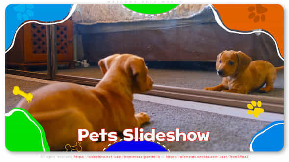 Welcome Pets World - VideoHive 46298871