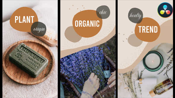 Organic Stories for - VideoHive 37326602