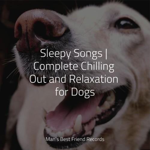 Sleep Music For Dogs - Sleepy Songs  Complete Chilling Out and Relaxation for Dogs - 2022