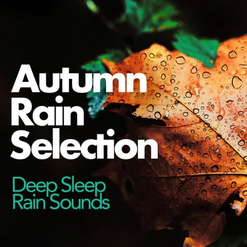 Deep Sleep Rain Sounds - Autumn Rain Selection - 2019