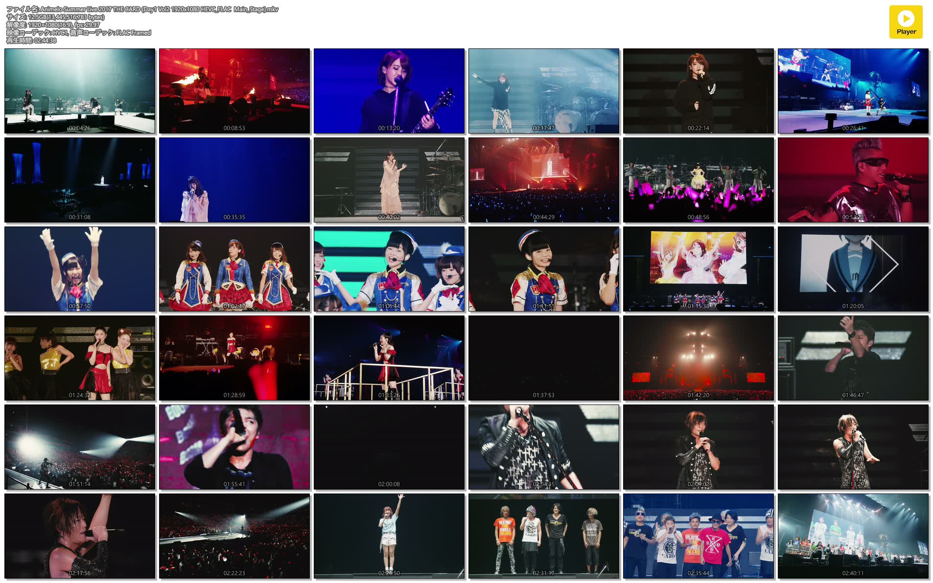 Animelo Summer Live 17 The Card Day1 Vol2 19x1080 Hevc Flac Main Stage Nyaa