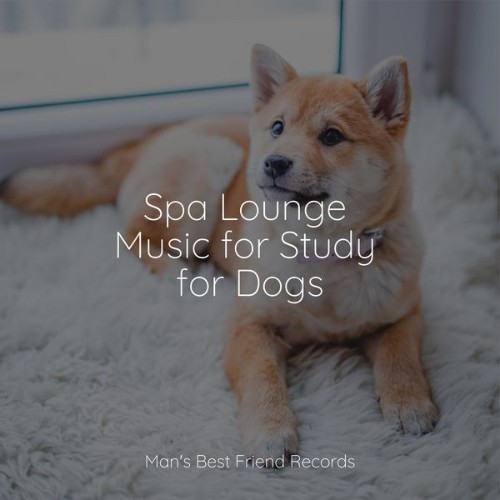 Relaxmydog - Spa Lounge Music for Study for Dogs - 2022