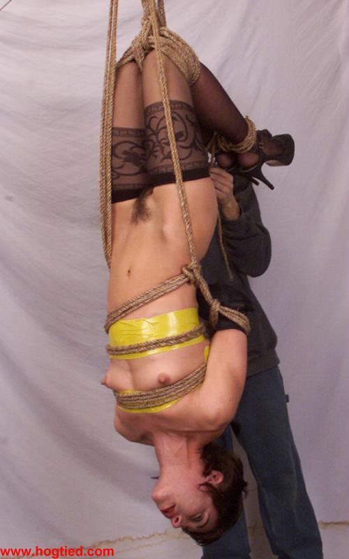 Hogtied Viva(18)