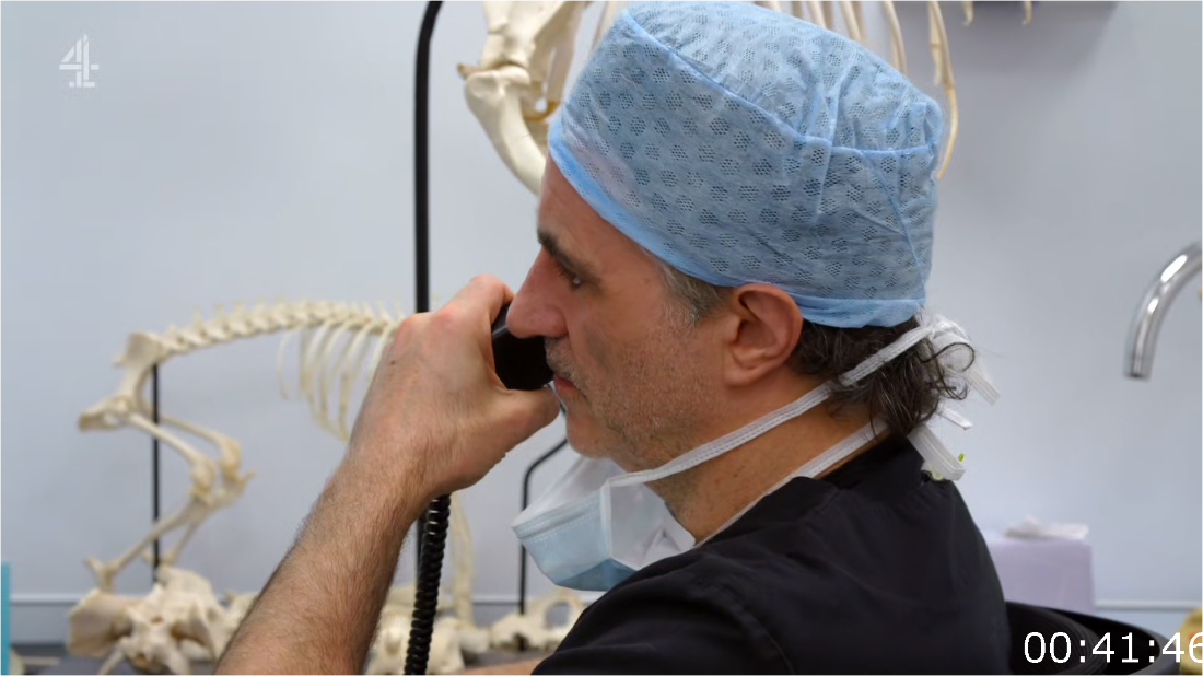 The Supervet Noel Fitzpatrick S19E03 [1080p] (x265) 4k35Fqza_o