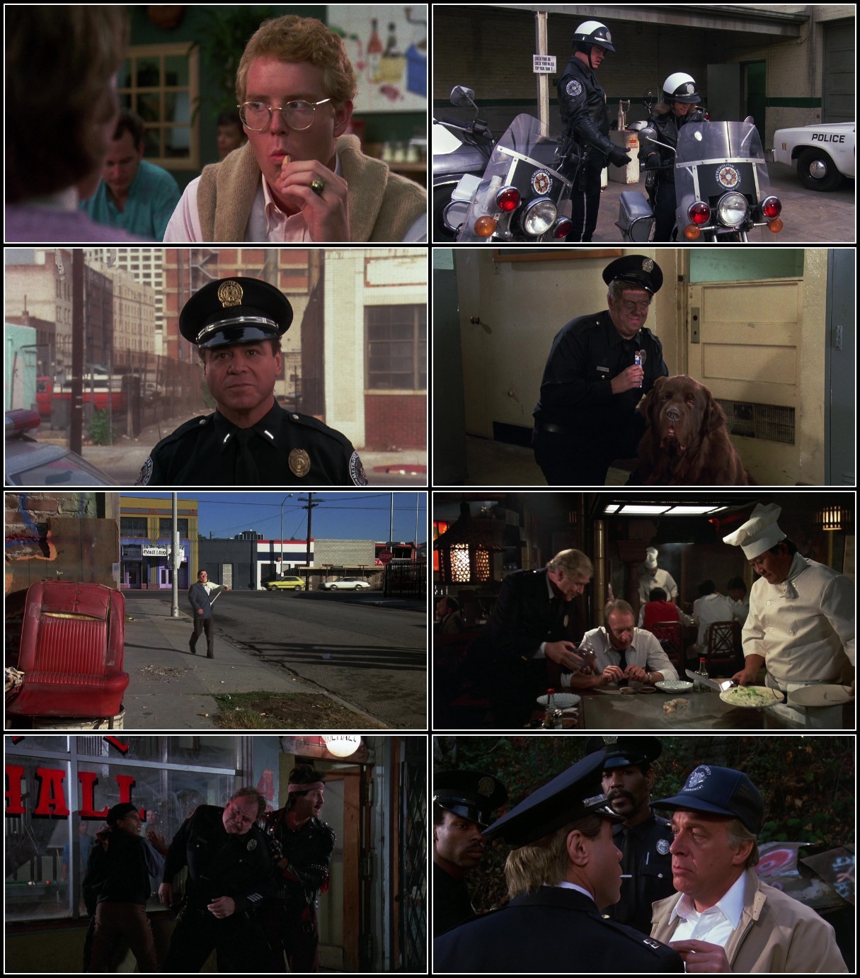 Police Academy 2 (1985) 1080p BluRay AVC DTS-MA 1 0 x264-PANAM 8oRcXdeN_o