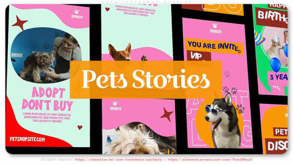 Pets Instagram Stories - VideoHive 46054242