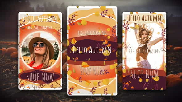 Hello Autumn Instagram Stories - VideoHive 33472065
