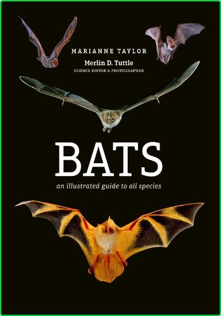 Bats An Illustrated Guide To All Species