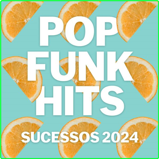 Various Artists - Pop Funk Hits - Sucessos (2024) [320 Kbps] V7LXP1pF_o