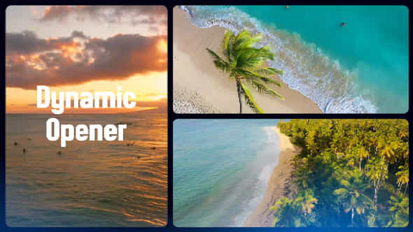 Dynamic Gallery Opener - VideoHive 50160450