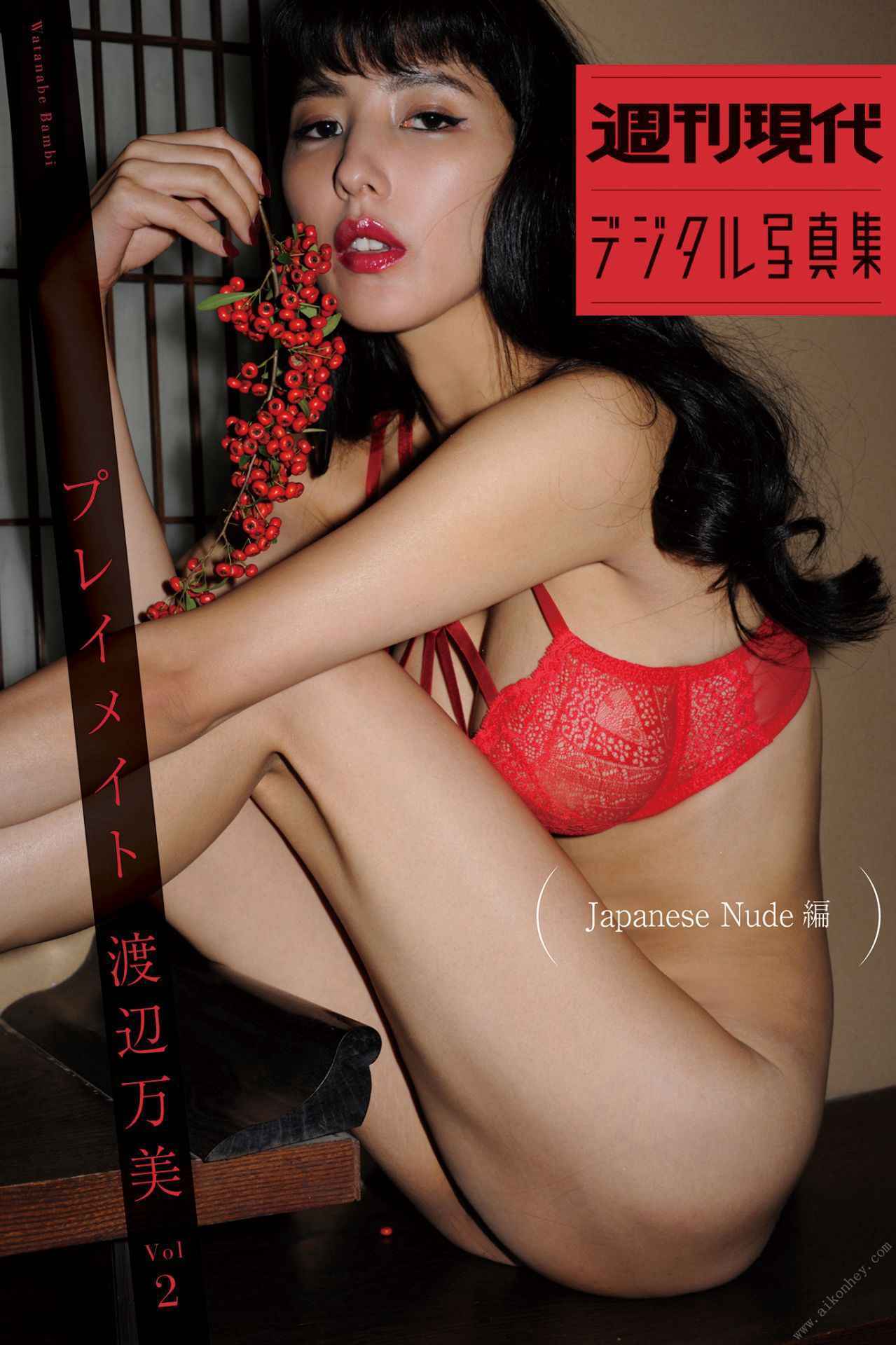 Watanabe Manmi - Playmate vol.2 Japanese Nude Edition プレイメイトvol.2japanse nude