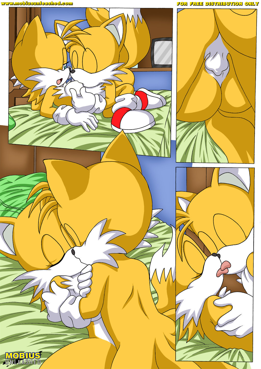 Tails Study - 12