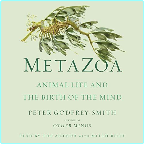 Metazoa Animal Life And The Birth Of The Mind 2020 – (Godfrey-Smith, Peter)